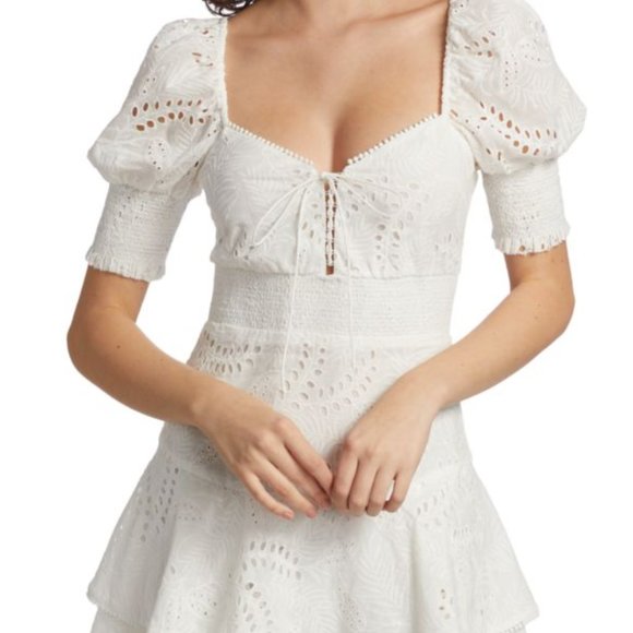 Alice and Olivia lace eyelet mini dress - Picture 1 of 8
